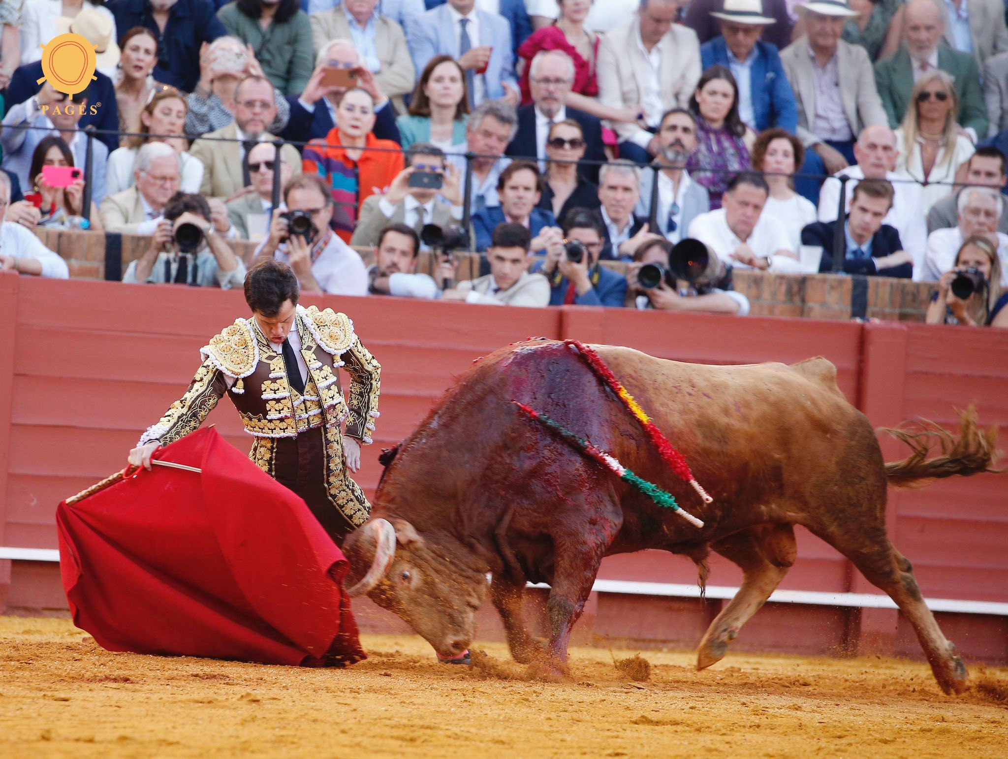 Diario Frontera, Frontera Digital,  Entretenimiento, ,Encierro de Los Aránguez para la Corrida Extraordinaria de San Felipe