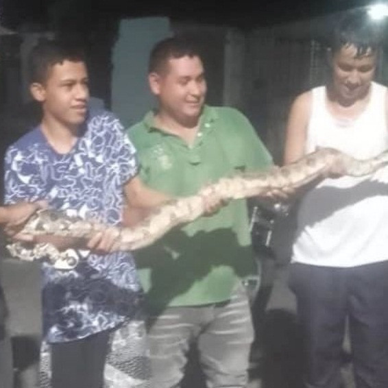 Diario Frontera, Frontera Digital,  El Vigía Panamericana, ,Vecinos del Barrio Bolívar exigen inspeccionar un galpón que está inhabilitado en El Vigía