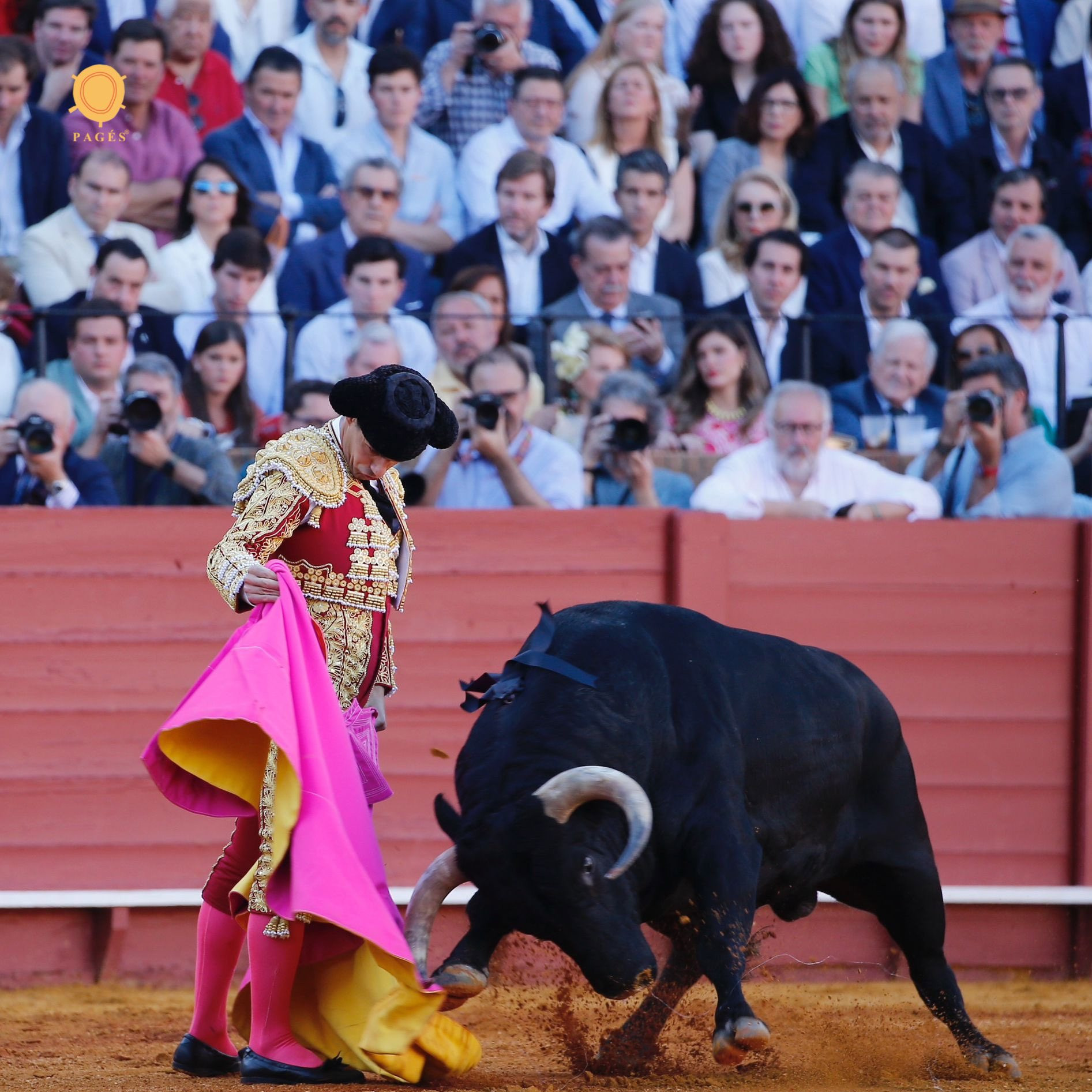 Diario Frontera, Frontera Digital,  Entretenimiento, ,Morante cambia el trono de la Maestranza por un diván en su torera terapia espiritual