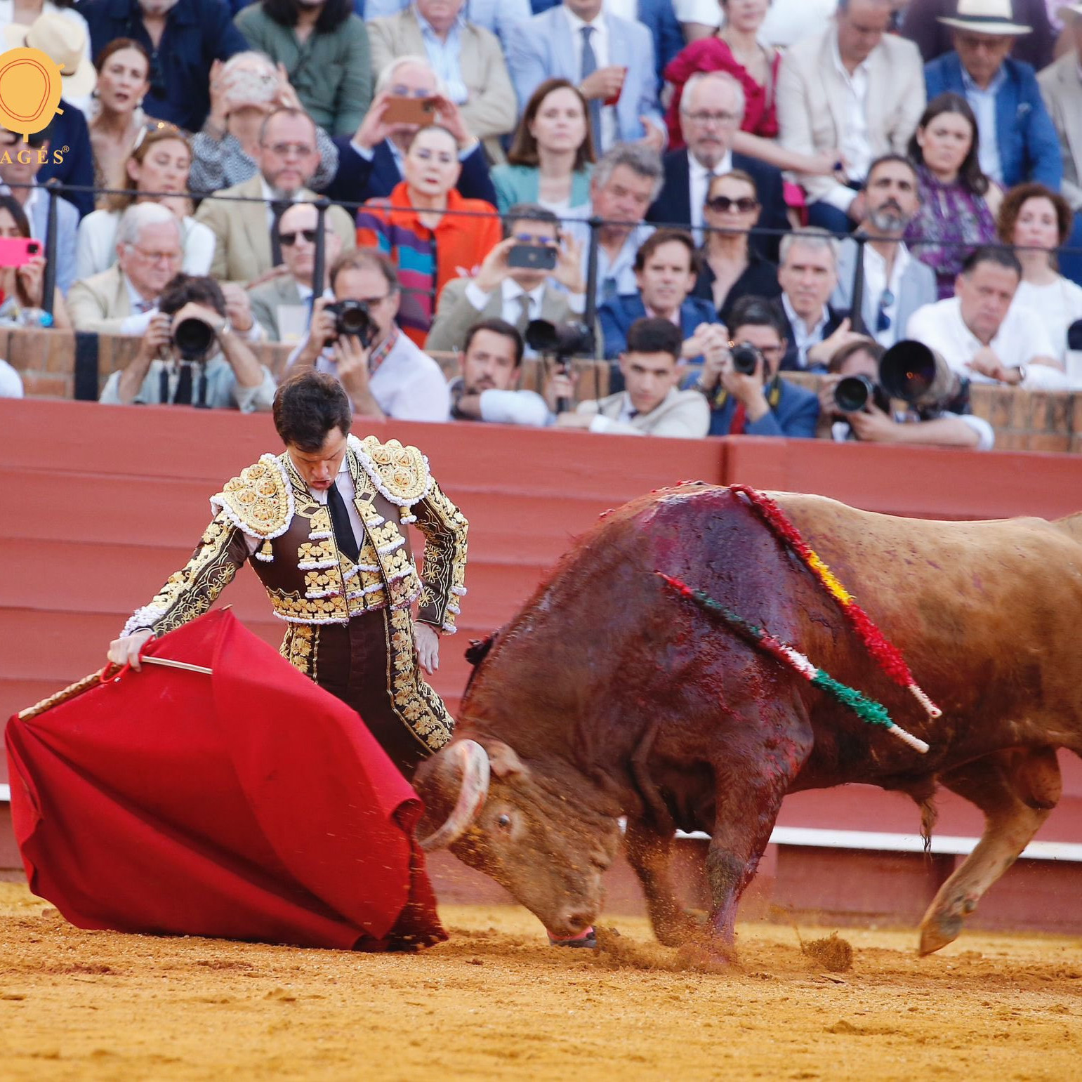 Diario Frontera, Frontera Digital,  Entretenimiento, ,Encierro de Los Aránguez para la Corrida Extraordinaria de San Felipe