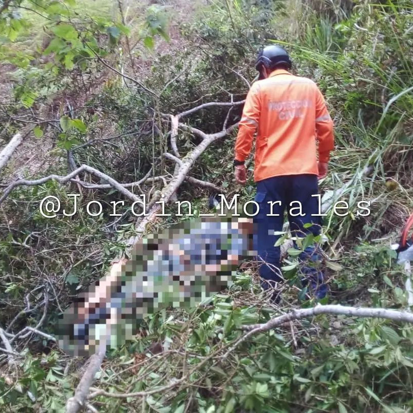 Diario Frontera, Frontera Digital,  Sucesos, ,Un hombre murió tras caerle encima un árbol que estaba talando en Zea