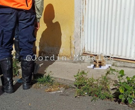 Diario Frontera, Frontera Digital,  Sucesos, ,Dejaron abandonado un cráneo humano frente a una casa en Ejido