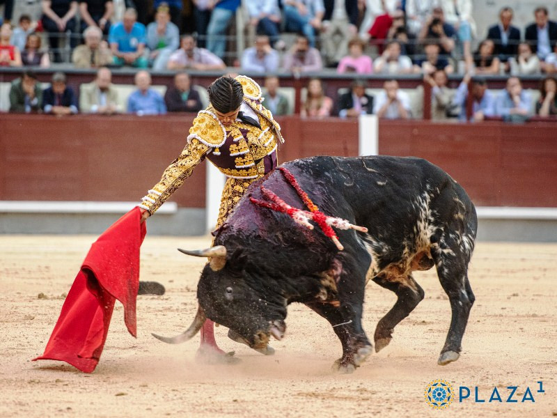 Diario Frontera, Frontera Digital,  Entretenimiento, ,«Bastonito», un toro de leyenda para cambiar una vida