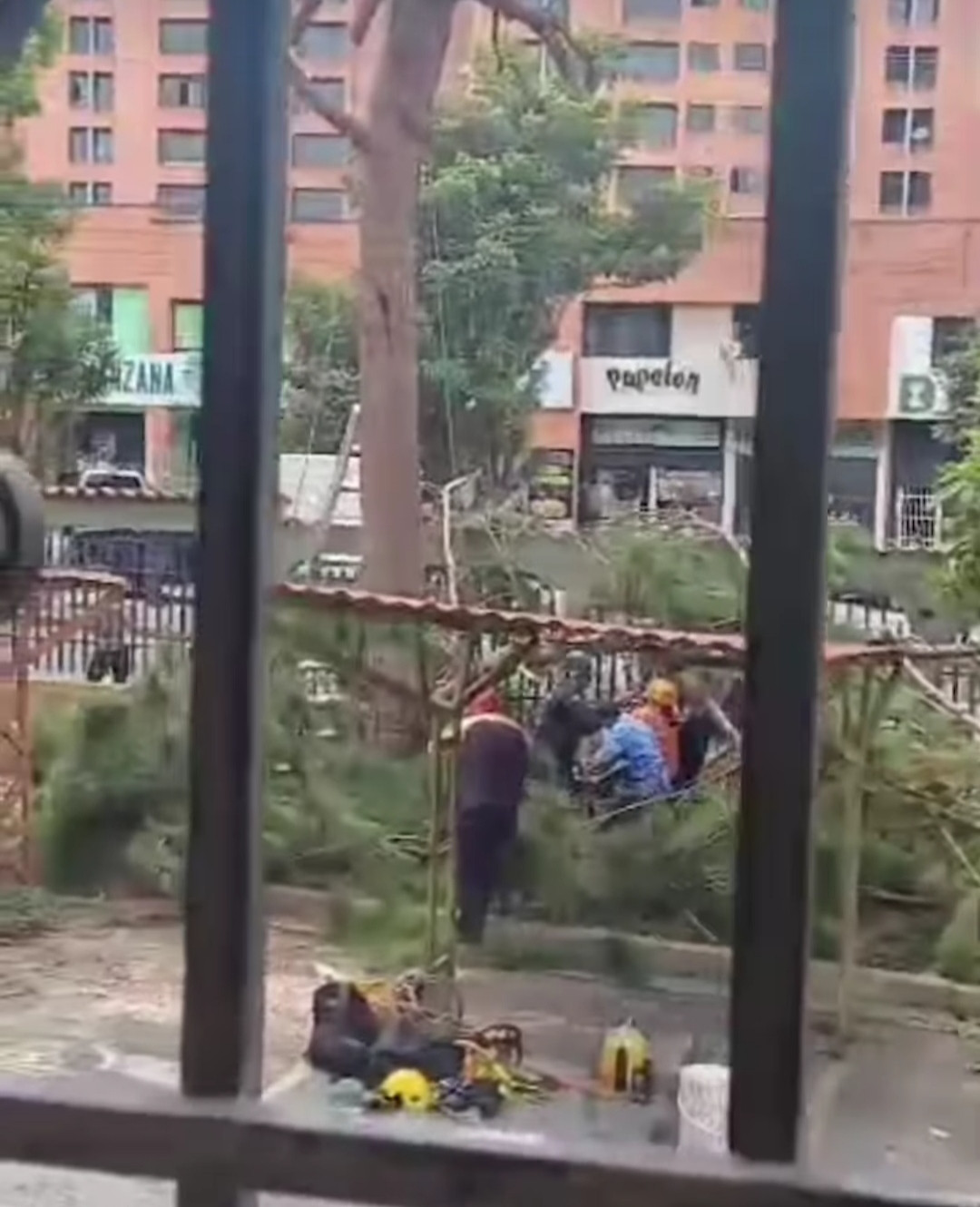 Diario Frontera, Frontera Digital,  Sucesos, ,Funcionario de PC quedó aprisionado entre las ramas de un árbol en Mérida