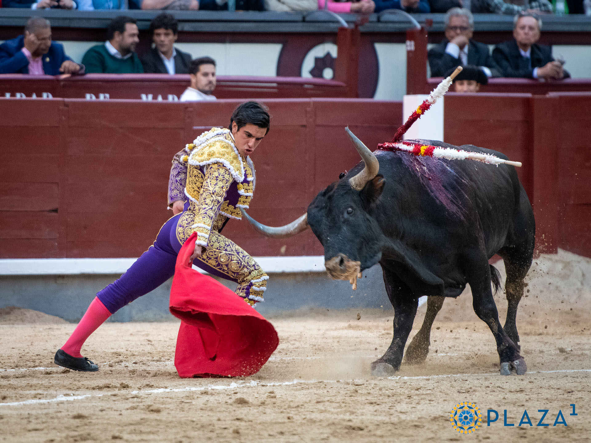 Diario Frontera, Frontera Digital,  Entretenimiento, ,Doblete de Roca Rey y presencia de “Colombo” con Miuras nuevamente en un San Fermín que se refresca
