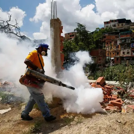 Diario Frontera, Frontera Digital,  Salud, ,Sociedad Venezolana de Infectología aseguró que el repunte de casos de dengue en el país es alarmante
