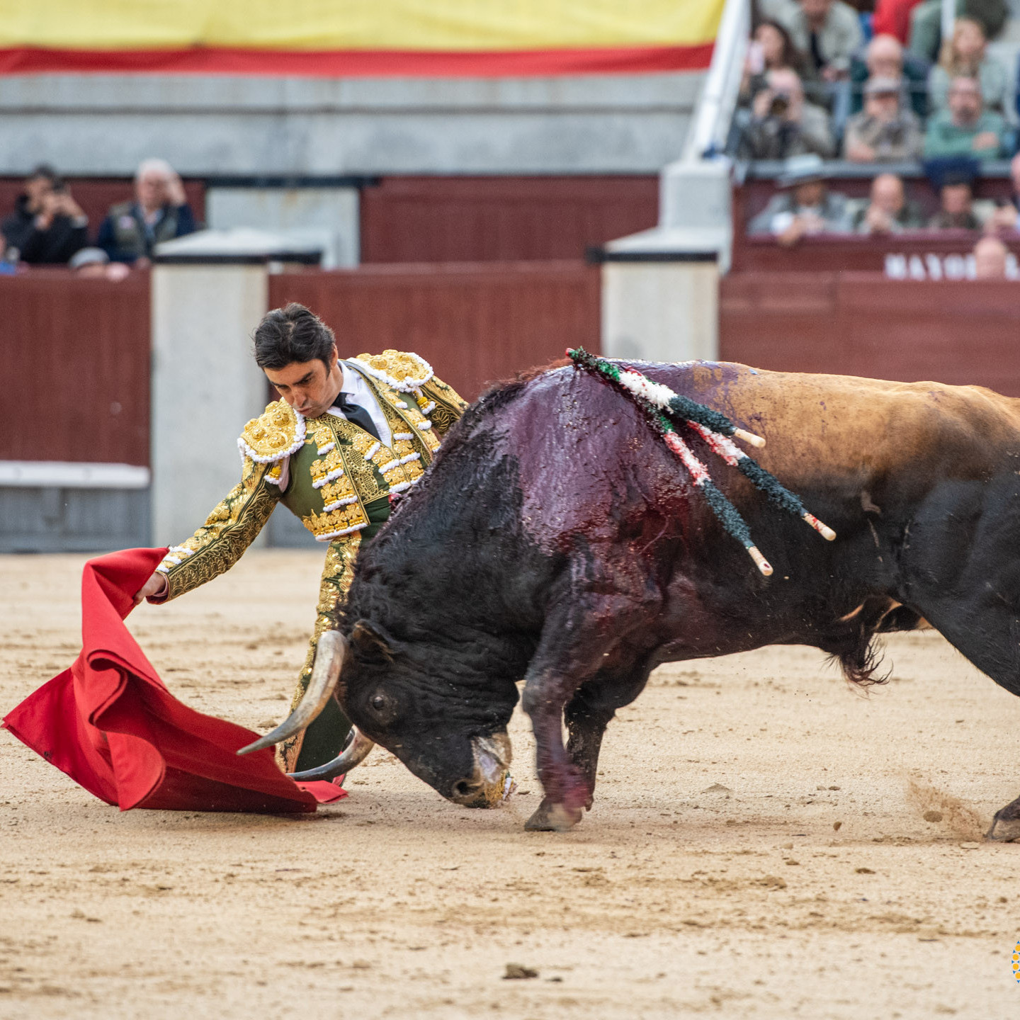 Diario Frontera, Frontera Digital,  Entretenimiento, ,Una mansada de época en la festividad del Patrón