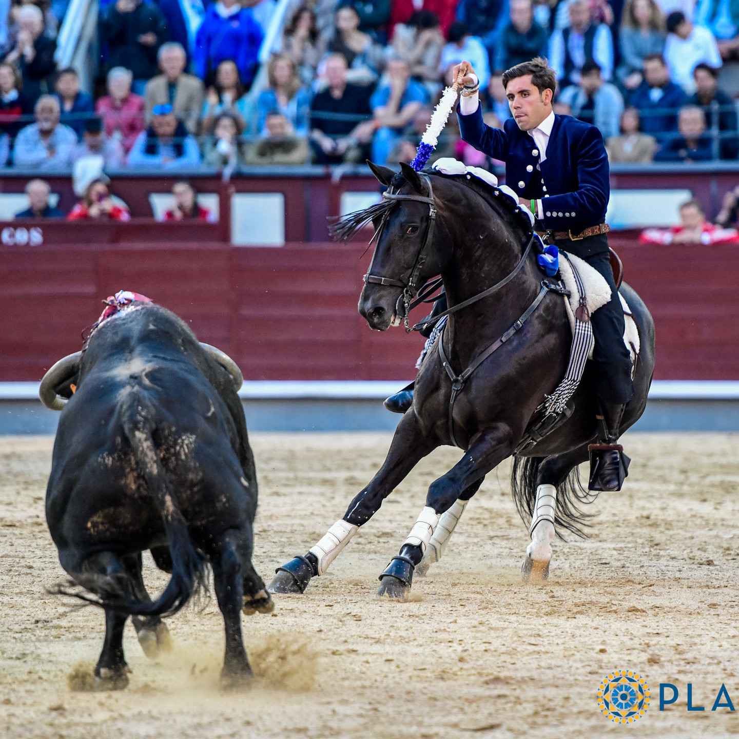 Diario Frontera, Frontera Digital,  Entretenimiento, ,El triunfo del heredero en el adiós a San Isidro de una leyenda a caballo