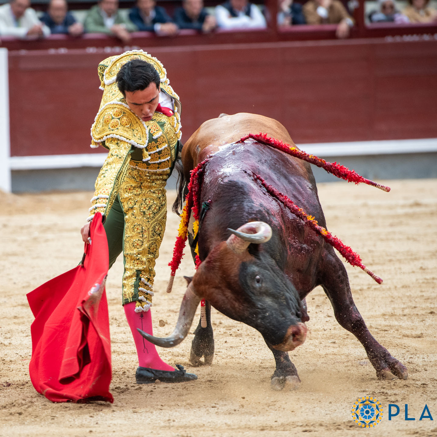 Diario Frontera, Frontera Digital,  Entretenimiento, ,La doble machada de Juan de Castilla crece ante Miura