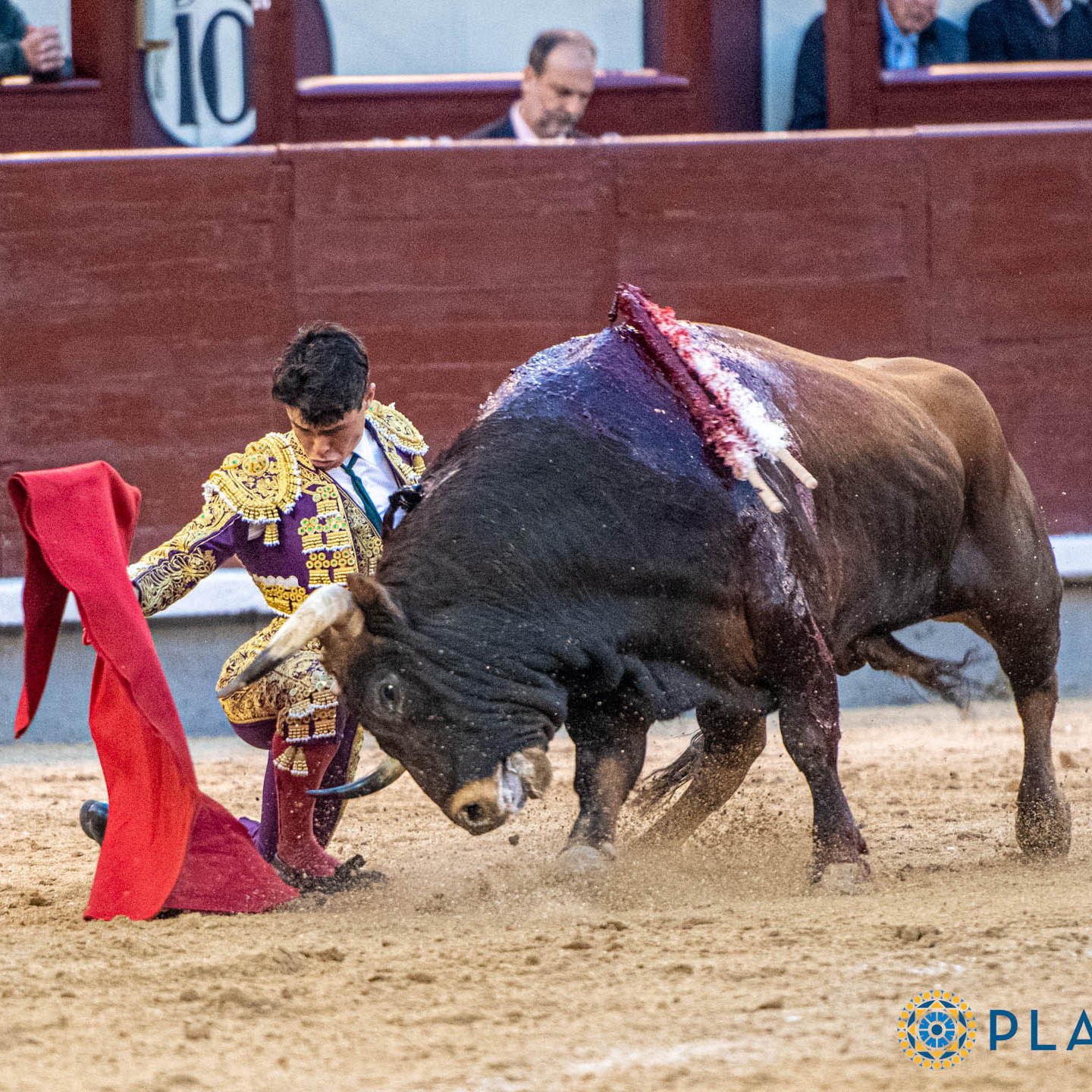 Diario Frontera, Frontera Digital,  Entretenimiento, ,Durísima prueba con final feliz: Jarocho abre la Puerta Grande en su presentación en Madrid