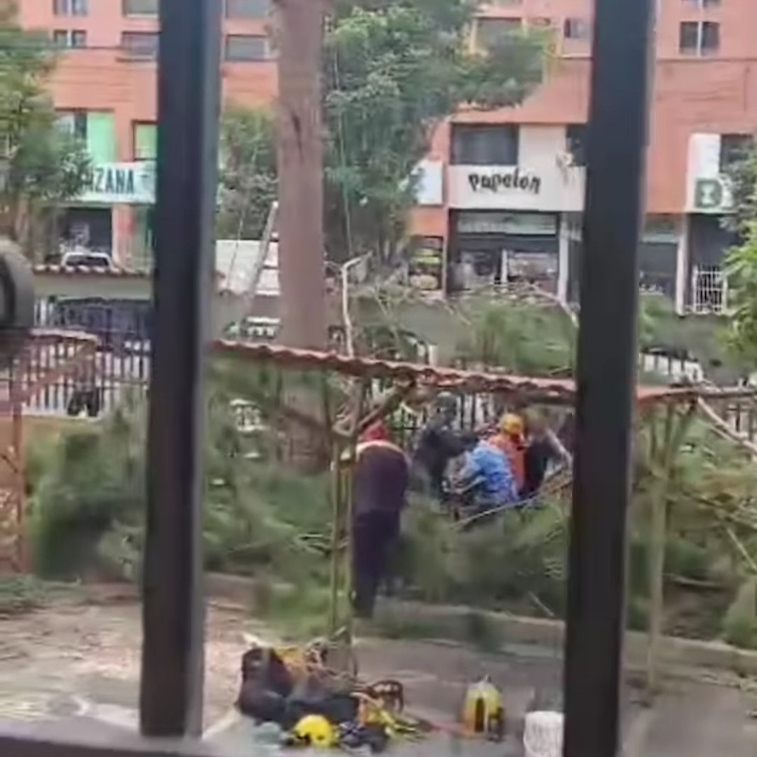 Diario Frontera, Frontera Digital,  Sucesos, ,Funcionario de PC quedó aprisionado entre las ramas de un árbol en Mérida