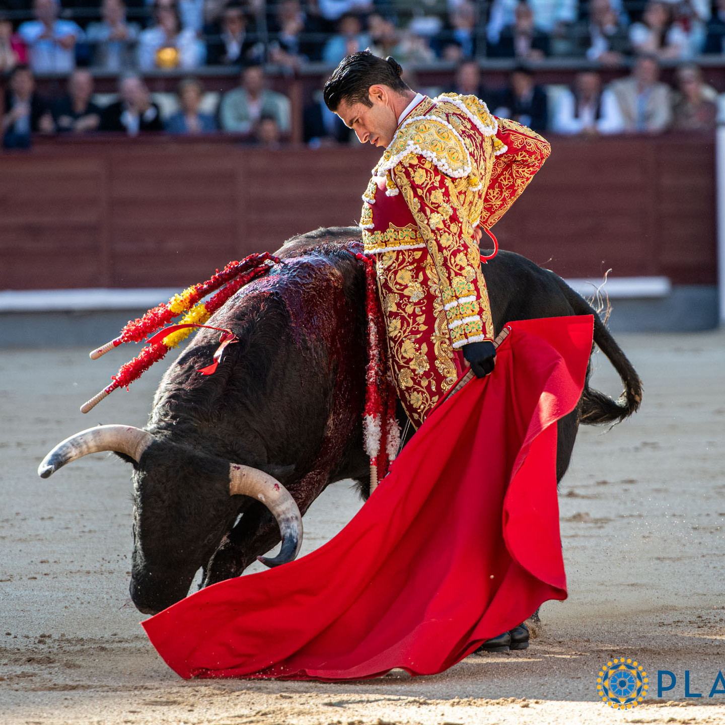 Diario Frontera, Frontera Digital,  Entretenimiento, ,El milagro de Talavante el verdadero y «Rebeco», un toro de casi 700 kilos, en Las Ventas