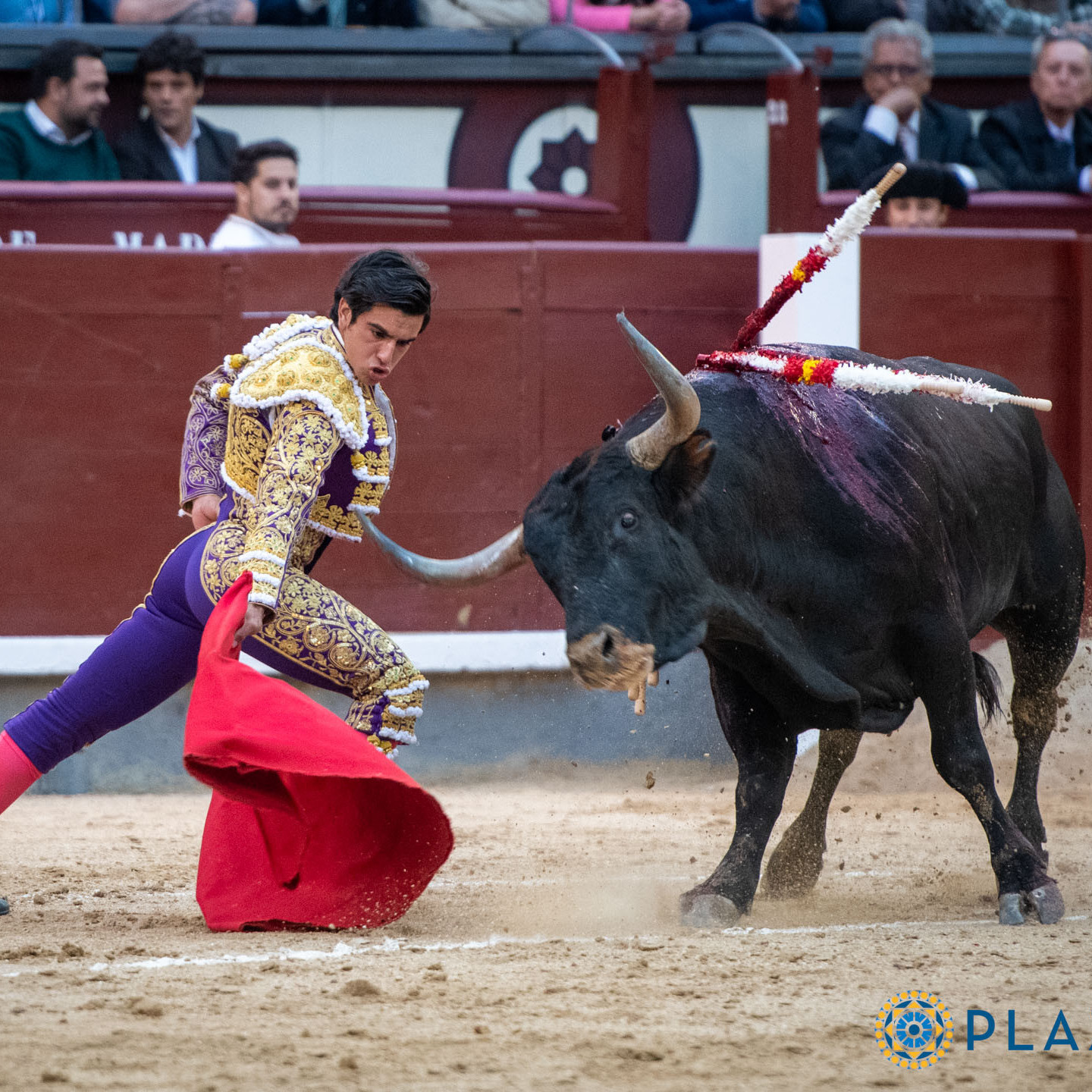 Diario Frontera, Frontera Digital,  Entretenimiento, ,Doblete de Roca Rey y presencia de “Colombo” con Miuras nuevamente en un San Fermín que se refresca