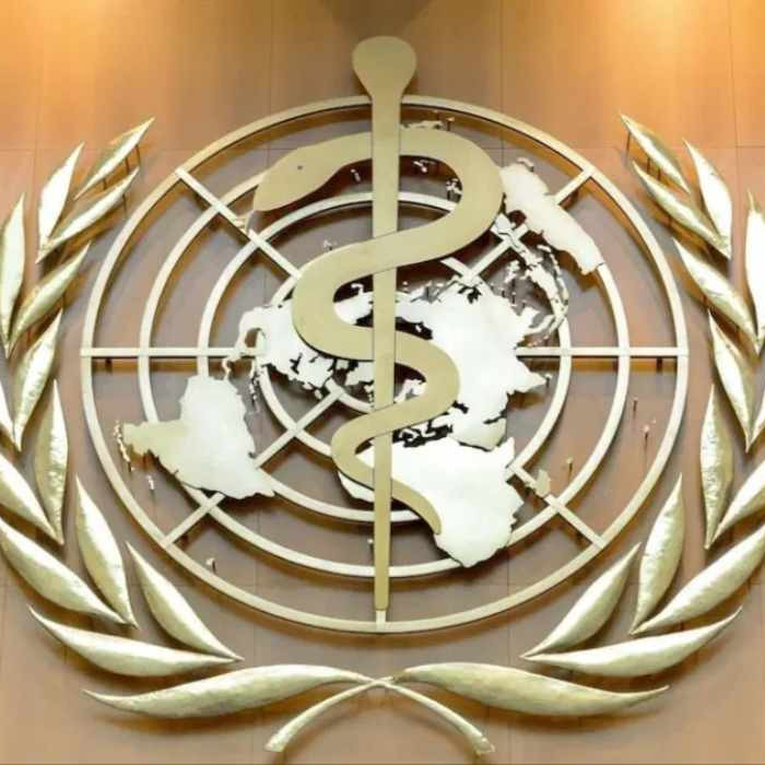 Diario Frontera, Frontera Digital,  Salud, ,OMS pide estar alerta tras la primera muerte por gripe aviar