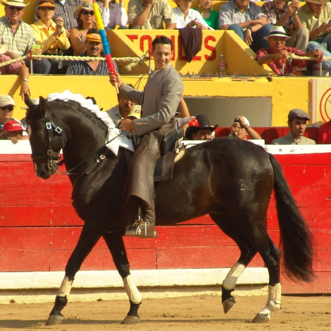 Diario Frontera, Frontera Digital,  Entretenimiento, ,Festejo mixto: reaparece rejoneador José Luis Rodríguez, al lado de su tío y primo