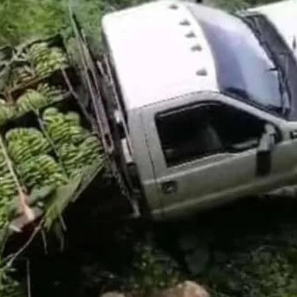 Diario Frontera, Frontera Digital,  El Vigía Panamericana, ,No aguantó el peso de un camión y se derrumbó puente en zona rural de Mérida
