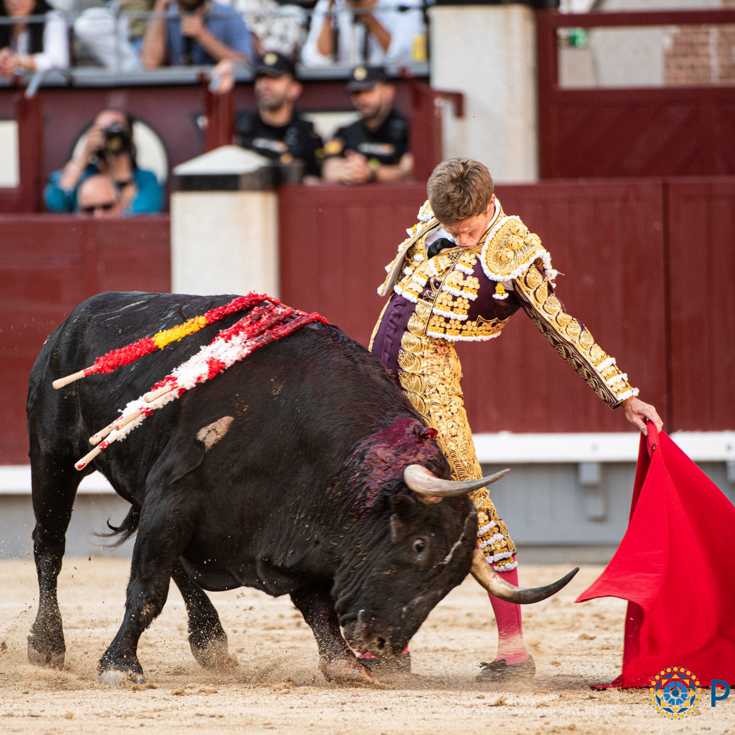 Diario Frontera, Frontera Digital,  Entretenimiento, ,De «Experto» a «Tejonero»: el triunfo de la bravura o la gloria de Santi Domecq en Las Ventas