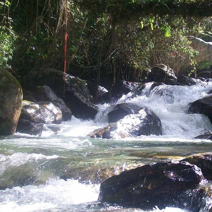 Diario Frontera, Frontera Digital,  Sucesos, ,Cicpc de El Vigía indaga causa de muerte de una osamenta humana localizada en el río Tucaní