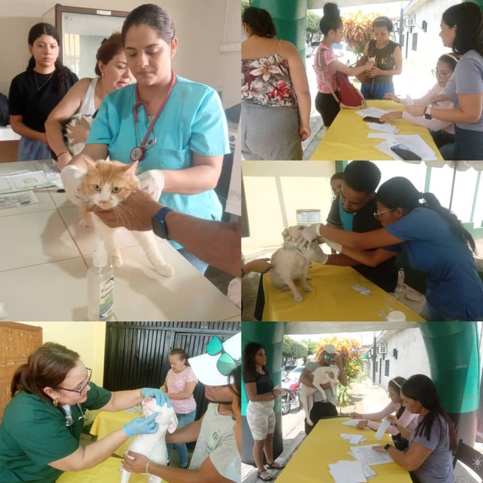 Diario Frontera, Frontera Digital,  El Vigía Panamericana, ,Colegio de Médicos Veterinarios atendió a 110 mascotas entre caninos y felinos en El Vigía