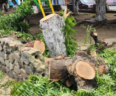 Diario Frontera, Frontera Digital,  El Vigía Panamericana, ,Alcaldía de Alberto Adriani acabó con áreas verdes del Boulevard y Parque Infantil de Mucujepe