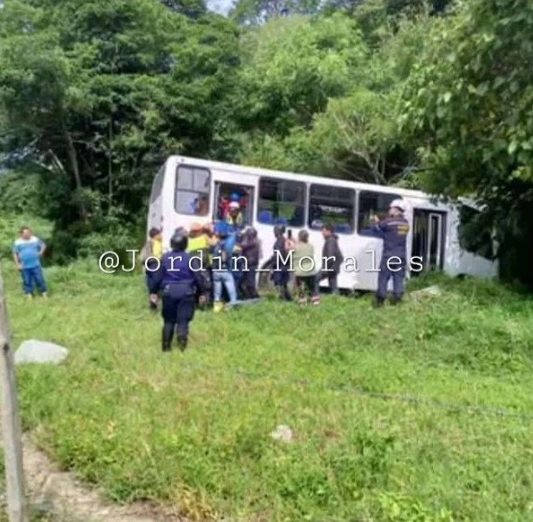 Diario Frontera, Frontera Digital,  Sucesos, ,Varios heridos tras quedar sin frenos unidad de transporte en Bailadores