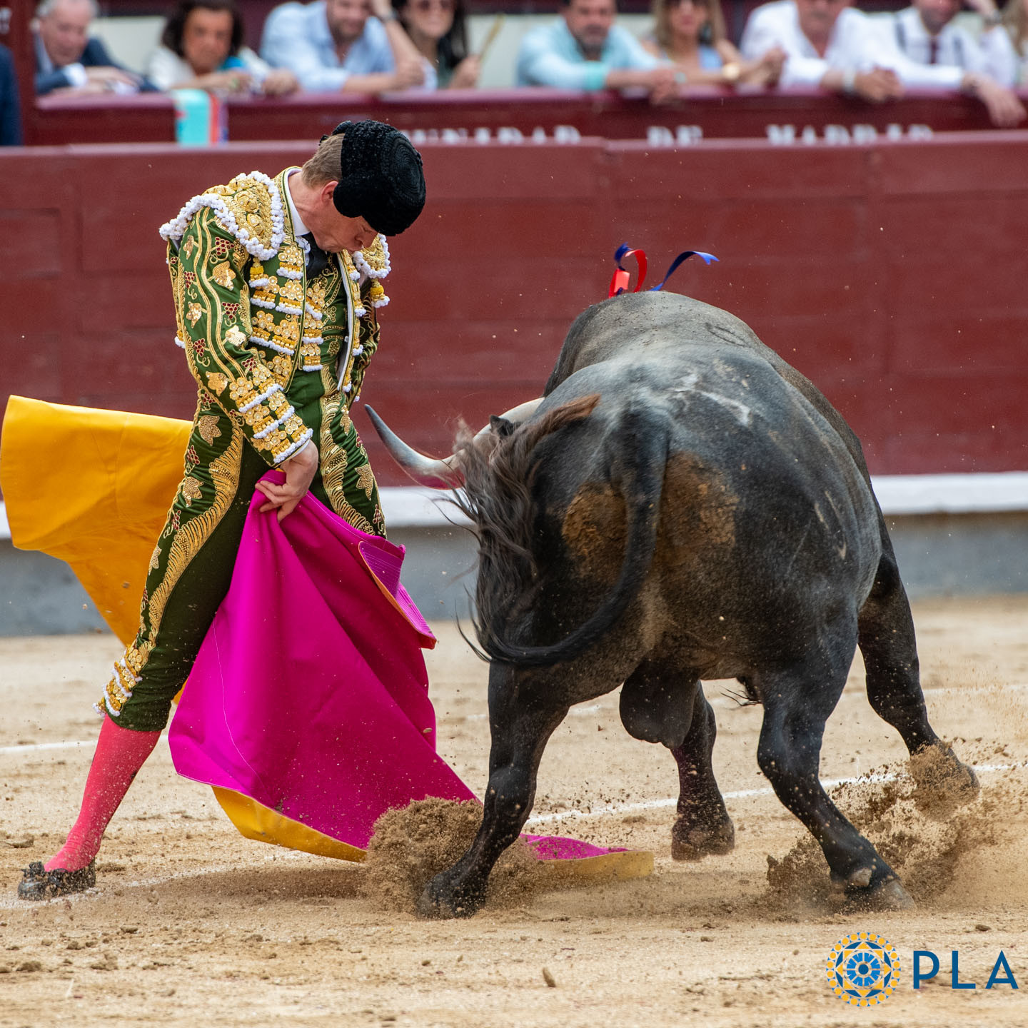 Diario Frontera, Frontera Digital,  Entretenimiento, ,Borja Jiménez, tras la cornada de Pamplona: "Sería bueno que se recompensaran los triunfos en plazas de primera, como se ha hecho siempre"