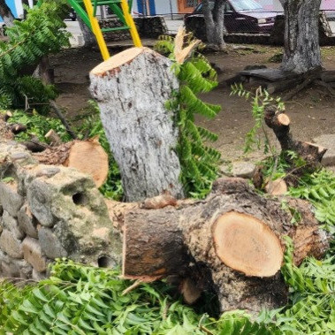 Diario Frontera, Frontera Digital,  El Vigía Panamericana, ,Alcaldía de Alberto Adriani acabó con áreas verdes del Boulevard y Parque Infantil de Mucujepe