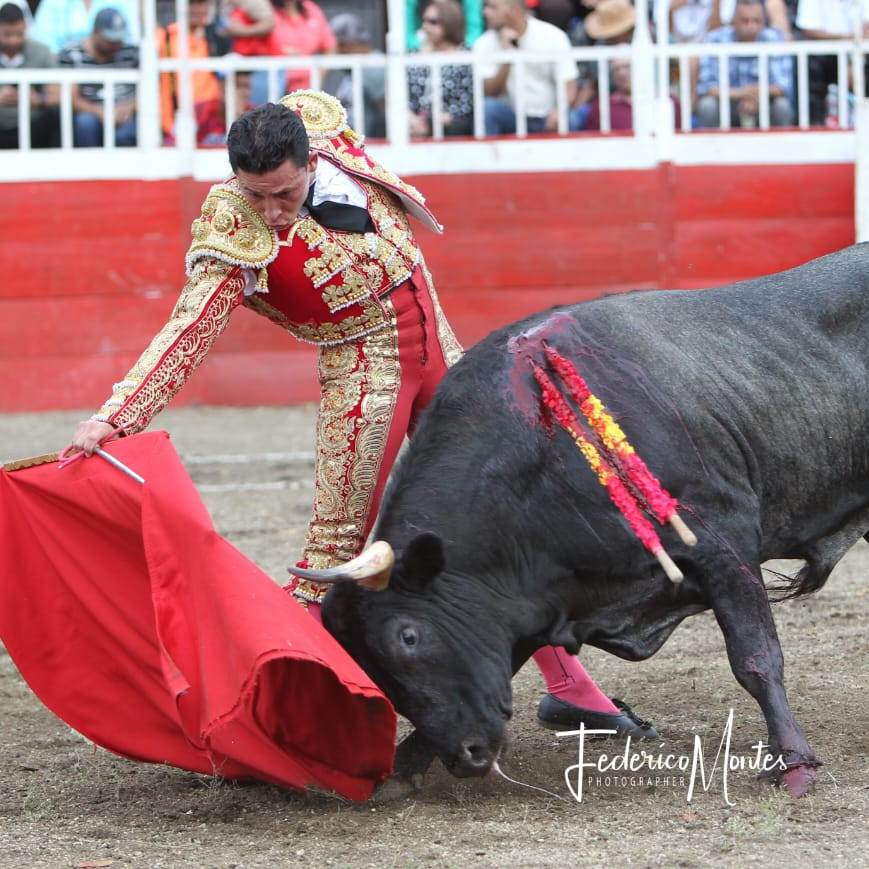 Diario Frontera, Frontera Digital,  Entretenimiento, ,Ángel Ramos, un torero en el exilio que igualmente reclama su sitio en ferias venezolanas
