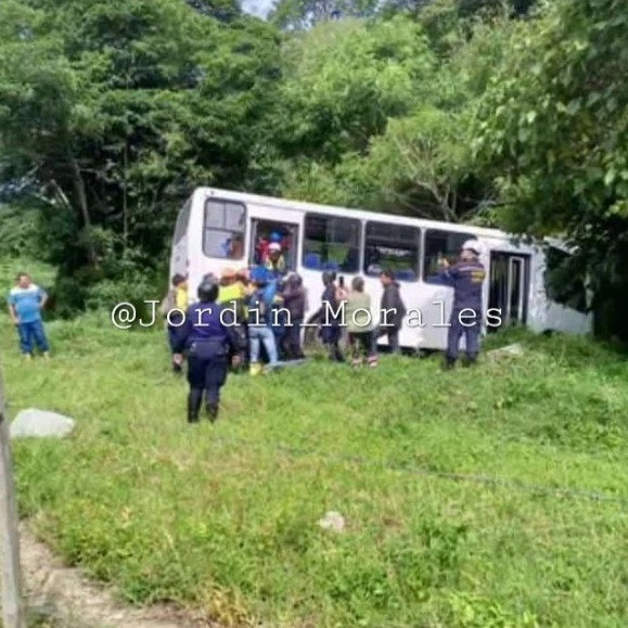 Diario Frontera, Frontera Digital,  Sucesos, ,Varios heridos tras quedar sin frenos unidad de transporte en Bailadores