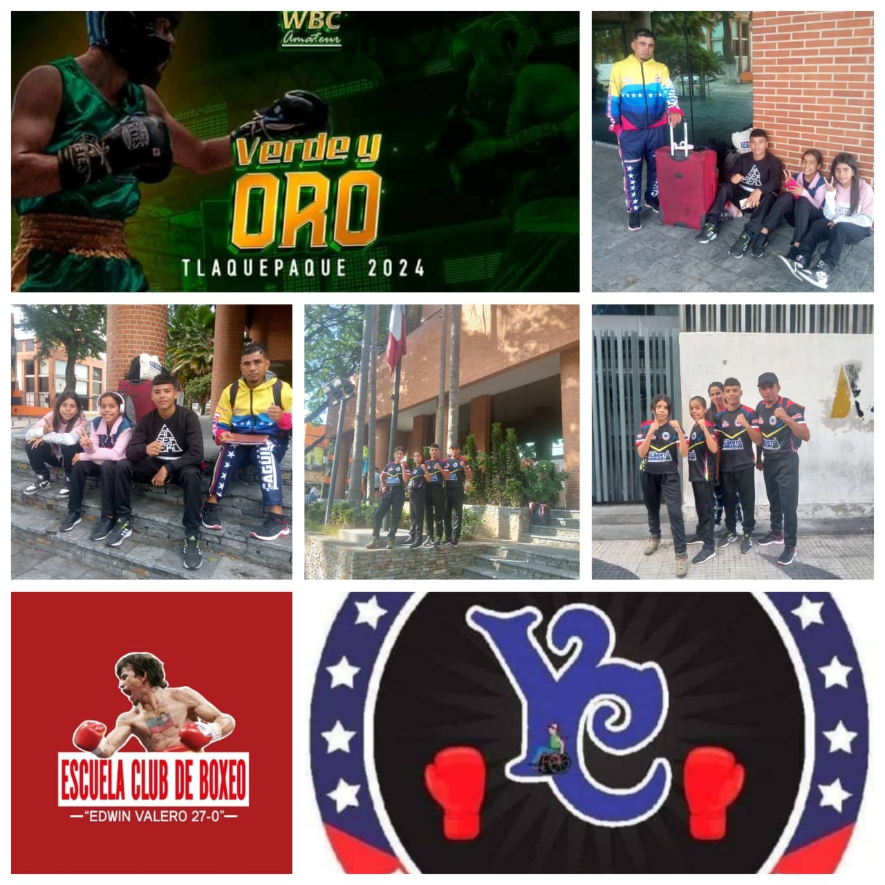 Diario Frontera, Frontera Digital,  El Vigía Panamericana, ,Delegación vigíense de Boxeo no pudo viajar al Campeonato Internacional de Boxeo “Verde y Oro” en México