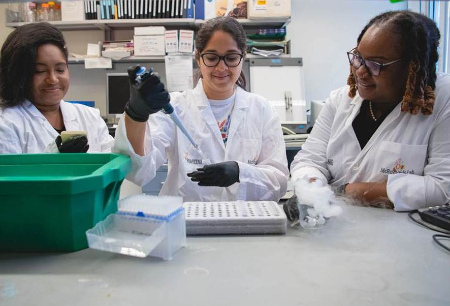 Diario Frontera, Frontera Digital,  Salud, ,Un fármaco contra el cáncer podría tratar el alzhéimer en etapas tempranas