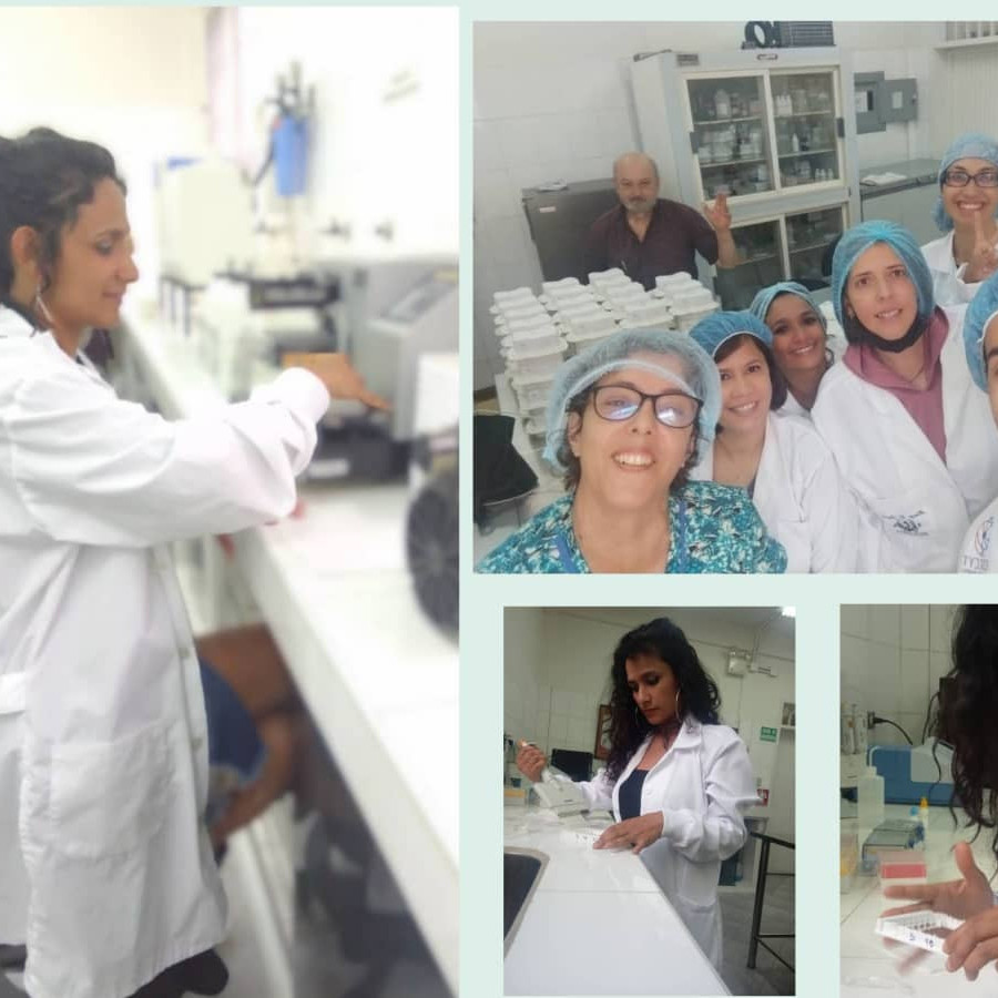 Diario Frontera, Frontera Digital,  Salud, ,Kit de diagnóstico ELISA apunta a detección temprana del Covid-19