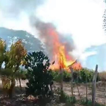 Diario Frontera, Frontera Digital,  El Vigía Panamericana, ,Problemas respiratorios e incendio de rancho 
causan quema de áreas verdes en El Vigía