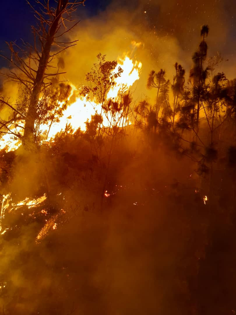Diario Frontera, Frontera Digital,  Sucesos, ,Incendio forestal de gran magnitud en el sector La Chicharronera del municipio Tovar