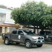 Diario Frontera, Frontera Digital,  Sucesos, ,Cicpc capturó a un ciudadano por "robacelulares" en El Vigía