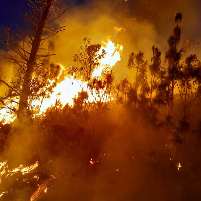 Diario Frontera, Frontera Digital,  Sucesos, ,Incendio forestal de gran magnitud en el sector La Chicharronera del municipio Tovar