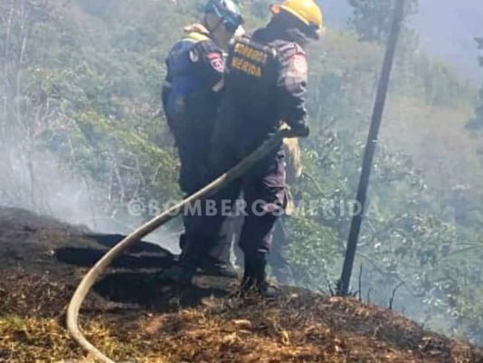 Diario Frontera, Frontera Digital,  Sucesos, ,Cuerpo de Bomberos controló un incendio 
en la Loma de los Ángeles de Campo Elías