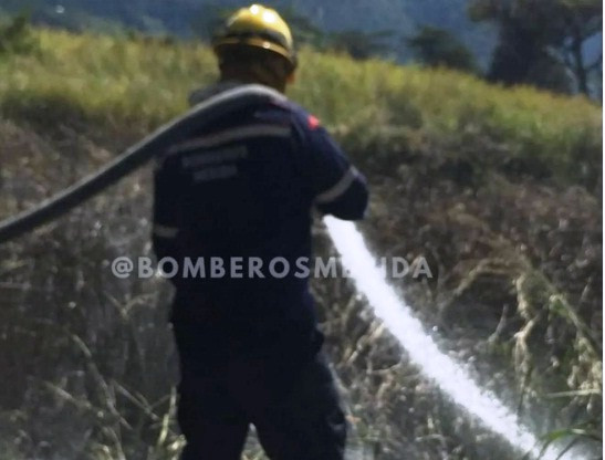 Diario Frontera, Frontera Digital,  Sucesos, ,Cuerpo de Bomberos continúa combatiendo
incendio de vegetación en la ciudad de Mérida