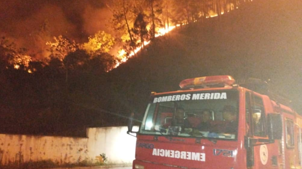 Diario Frontera, Frontera Digital,  Sucesos, ,Mérida contabiliza más de 40 incendios al comienzo de año