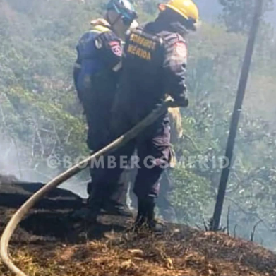 Diario Frontera, Frontera Digital,  Sucesos, ,Cuerpo de Bomberos controló un incendio 
en la Loma de los Ángeles de Campo Elías