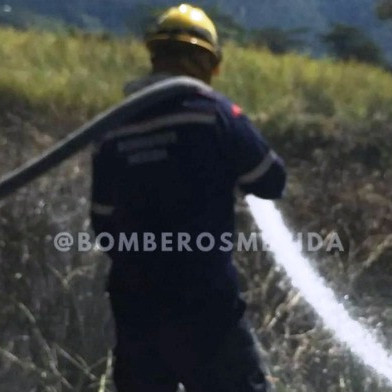Diario Frontera, Frontera Digital,  Sucesos, ,Cuerpo de Bomberos continúa combatiendo
incendio de vegetación en la ciudad de Mérida
