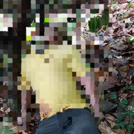 Diario Frontera, Frontera Digital,  Sucesos, ,Ciudadano se ahorcó en terrenos de la Parmalat en El Vigía