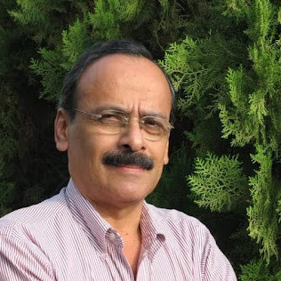 Diario Frontera, Frontera Digital,  Opinión, ,¿Opositores a qué y a quién? por Gehard Cartay