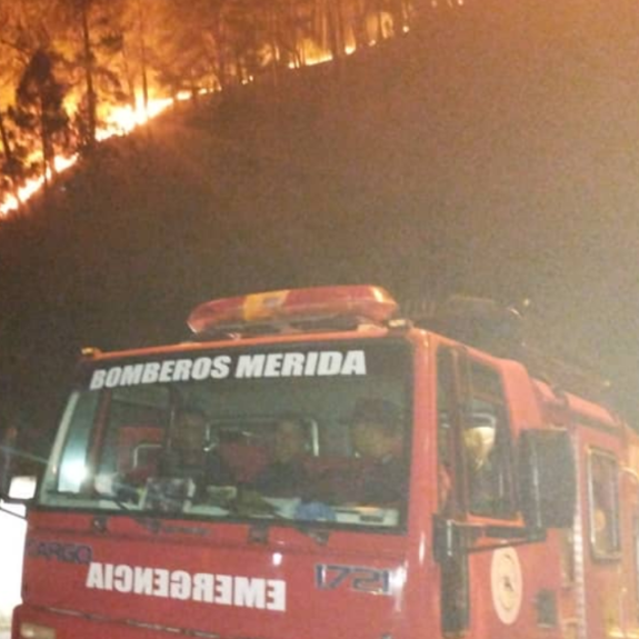 Diario Frontera, Frontera Digital,  Sucesos, ,Mérida contabiliza más de 40 incendios al comienzo de año