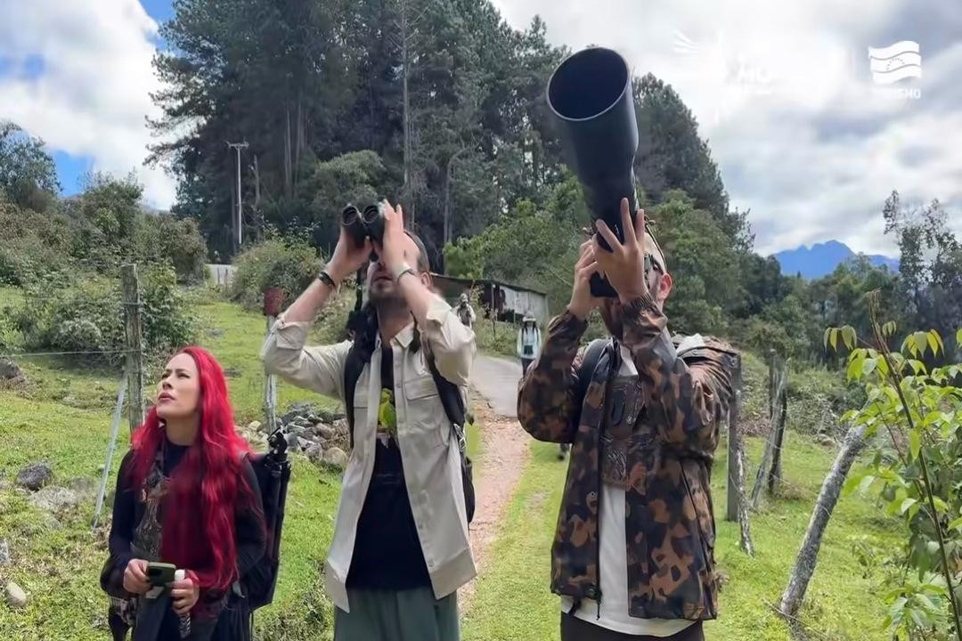 Diario Frontera, Frontera Digital,  Regionales, ,Viviana Gómez, una de las expertas provenientes del vecino país, manifestó su sorpresa por lo hermoso del estado Mérida, “estoy feliz, estamos comenzando con la Ruta del Colibrí, desde el balcón de mi ventana no podía creer esos picos nevados de la montaña, Mérida nos recibió con Nieve”.,Delegación colombiana avista primer ave en 
Congreso Mundial de Aviturismo