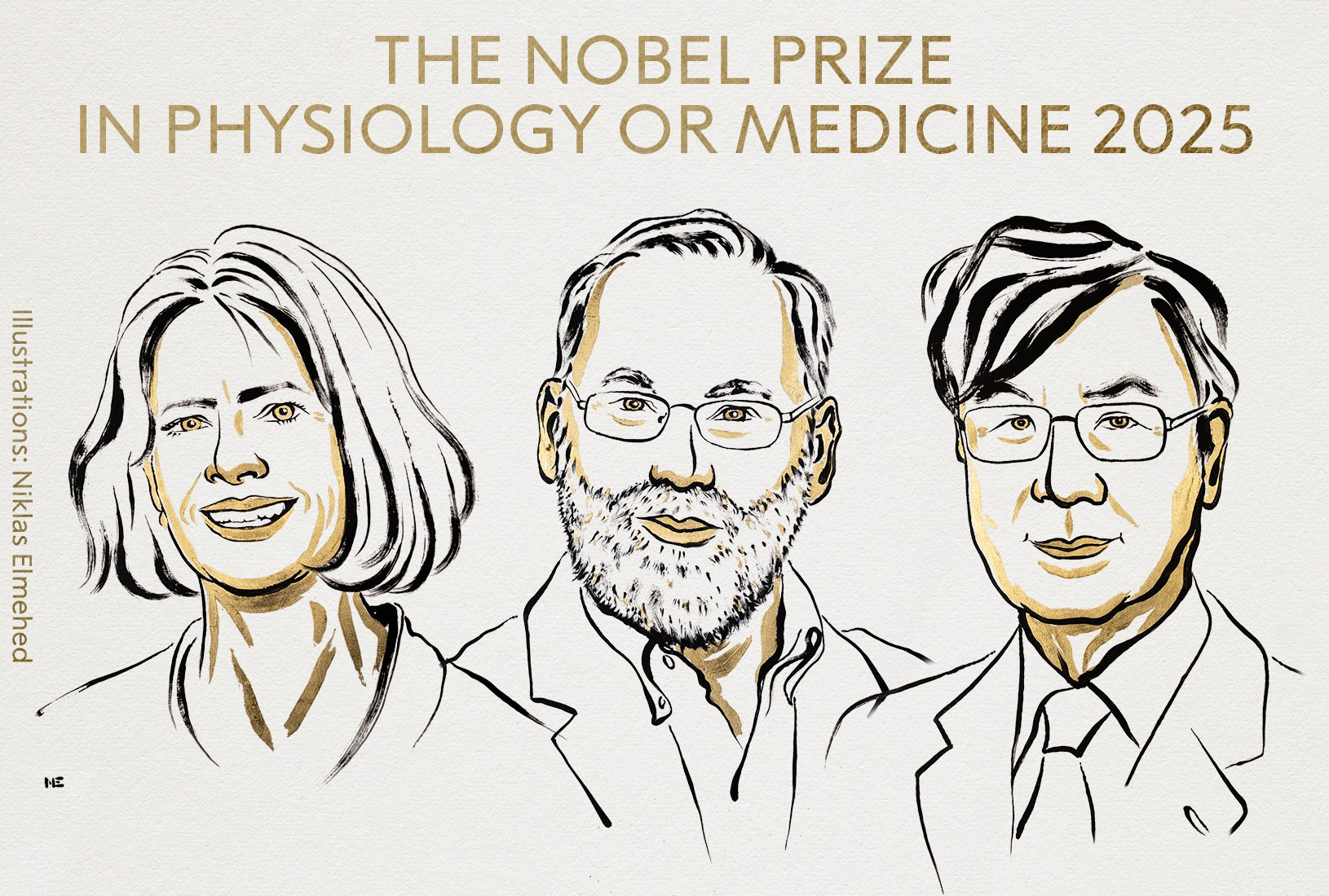 Diario Frontera, Frontera Digital,  Salud, ,Mary E. Brunkow (EE. UU.), Fred Ramsdel (EE. UU.) y Shimon Sakaguchi (Japón) reciben este galardón,Nobel de Medicina 2025 a los descubridores de las células guardianes del sistema inmune