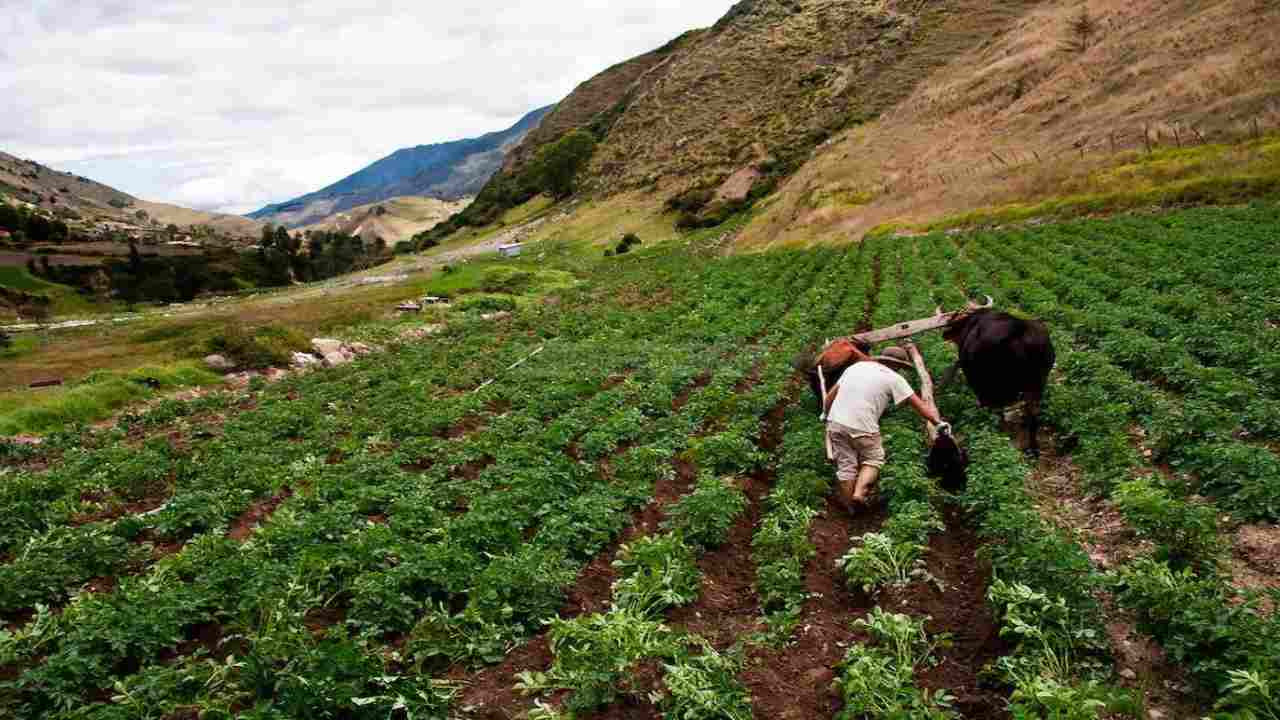 Diario Frontera, Frontera Digital,  Regionales, ,Agricultores en Mérida denuncian contrabando de mercancía desde Colombia
