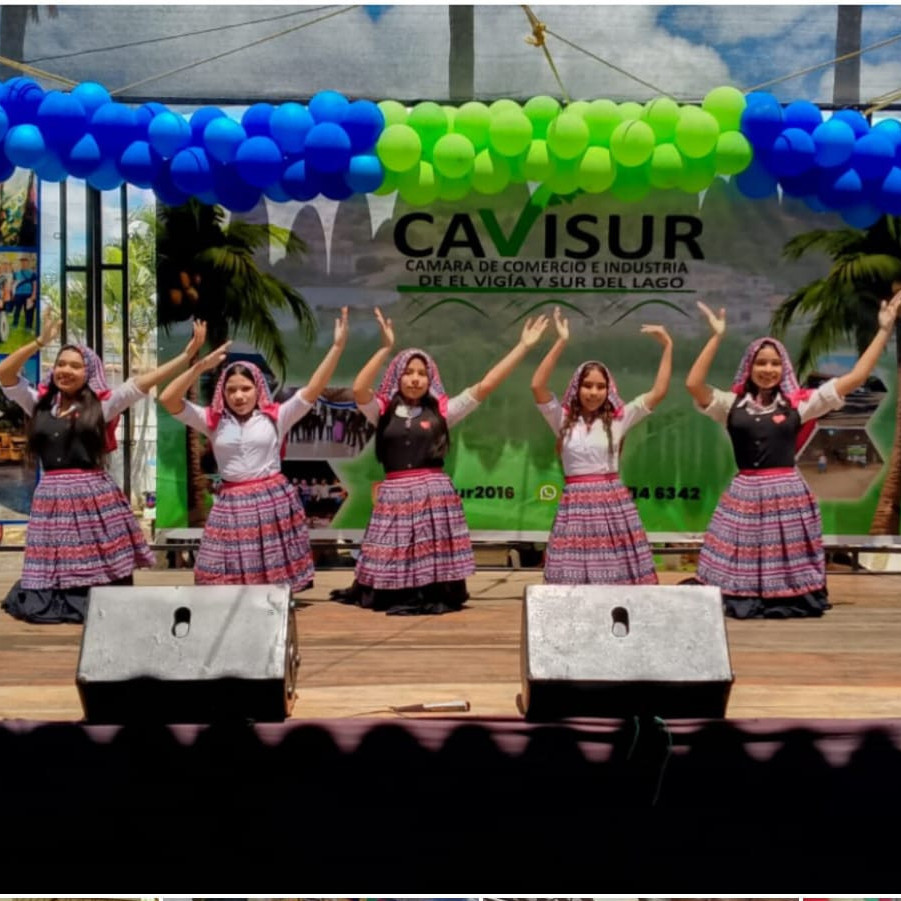 Diario Frontera, Frontera Digital,  El Vigía Panamericana, ,Con total éxito se realizó Festival Gastronómico y Cultural Cavisur 2025