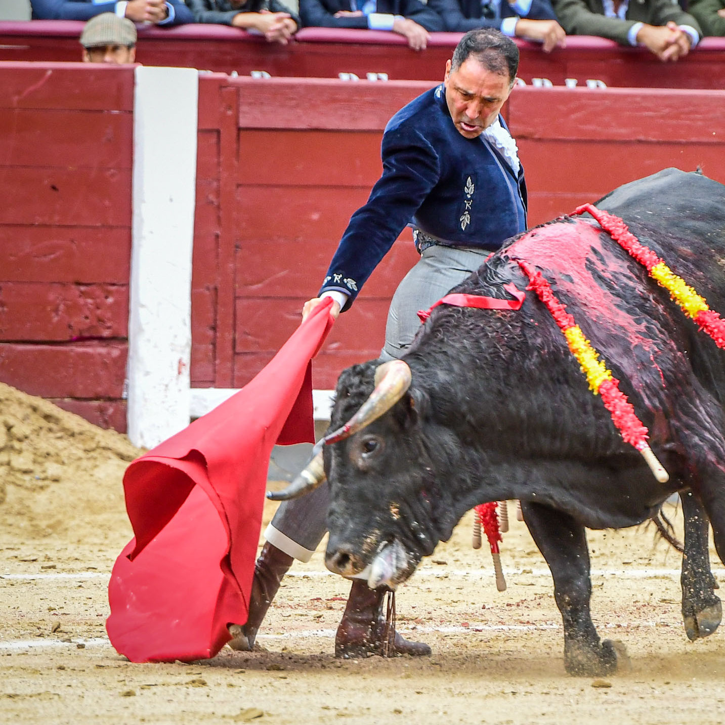 Diario Frontera, Frontera Digital,  Entretenimiento, ,El toreo de siempre como nunca: histórica Puerta Grande de Curro Vázquez y César Rincón