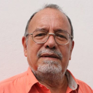 Diario Frontera, Frontera Digital,  Opinión, ,¿Qué se hizo mal y qué se debería hacer? por Luis Fuenmayor Toro
